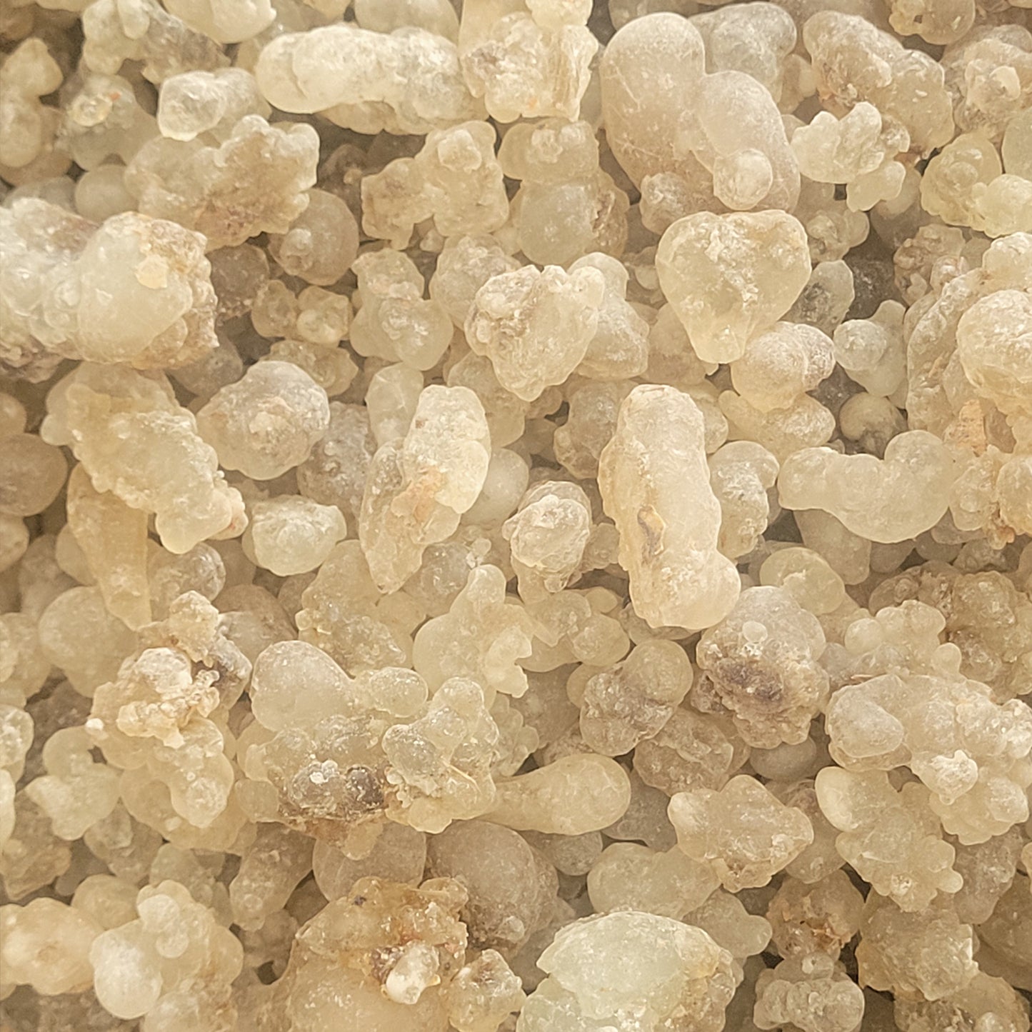 Faseel Pouch with Hojari Frankincense Resin