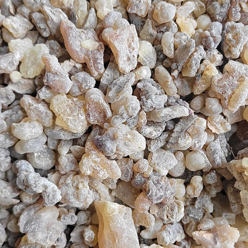 Faseel Pouch with Mixed Frankincense Resin