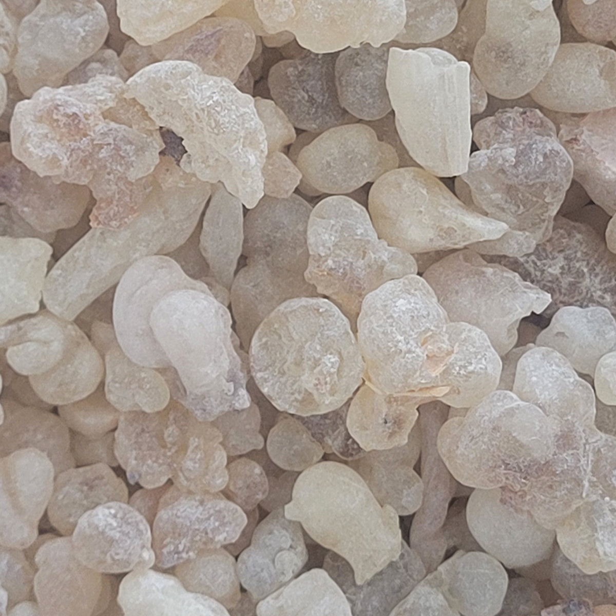 Royal Green Hojari Frankincense Resin with Faseel Pouch – 30g