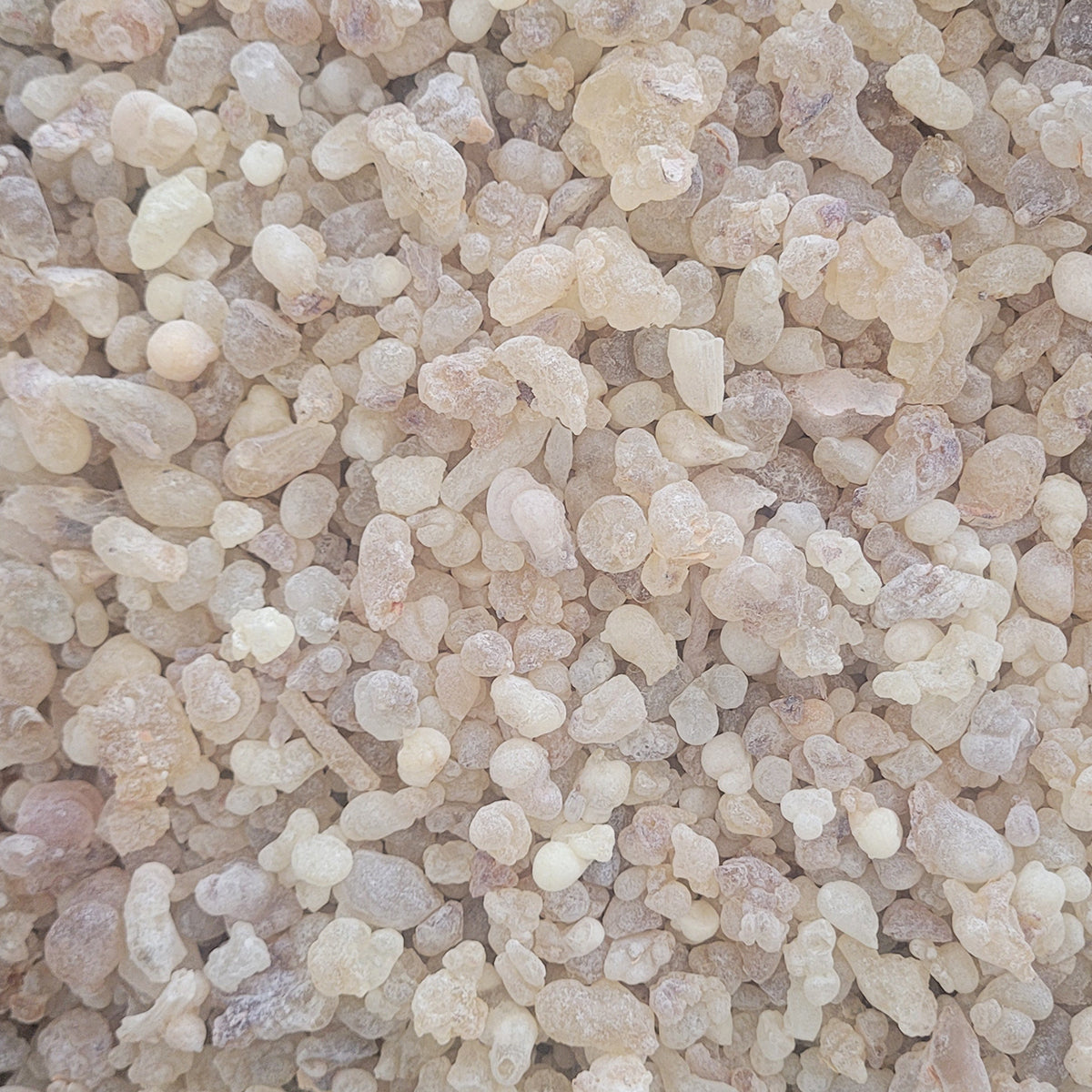 Royal Green Hojari Frankincense Resin with Faseel Pouch – 30g